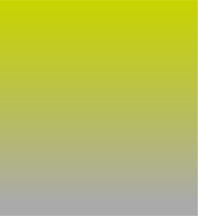 overlay leistungen, webdesign, seo, grafikdesign, branding, wiedesign vorarlberg
