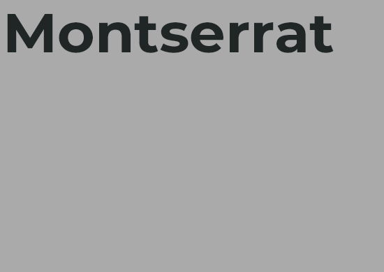 nelu typografie